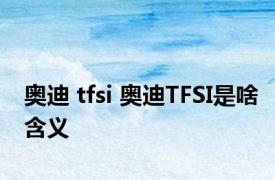 奥迪 tfsi 奥迪TFSI是啥含义