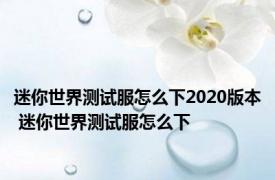 迷你世界测试服怎么下2020版本 迷你世界测试服怎么下