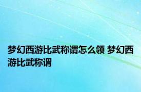 梦幻西游比武称谓怎么领 梦幻西游比武称谓 