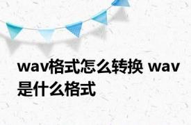 wav格式怎么转换 wav是什么格式