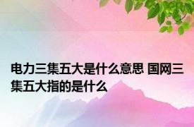 电力三集五大是什么意思 国网三集五大指的是什么