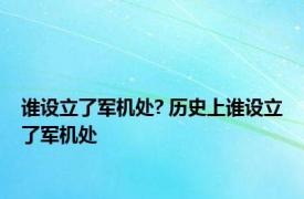 谁设立了军机处? 历史上谁设立了军机处