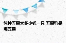 纯种五黑犬多少钱一只 五黑狗是哪五黑