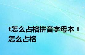 t怎么占格拼音字母本 t怎么占格