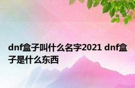 dnf盒子叫什么名字2021 dnf盒子是什么东西