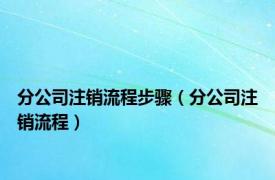 分公司注销流程步骤（分公司注销流程）