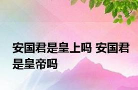 安国君是皇上吗 安国君是皇帝吗