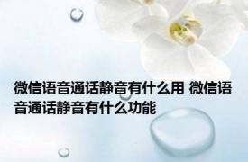 微信语音通话静音有什么用 微信语音通话静音有什么功能