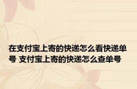 在支付宝上寄的快递怎么看快递单号 支付宝上寄的快递怎么查单号