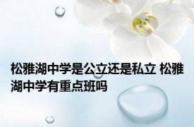 松雅湖中学是公立还是私立 松雅湖中学有重点班吗