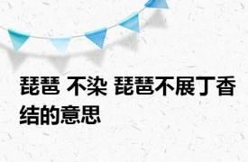 琵琶 不染 琵琶不展丁香结的意思