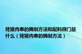 烤猪肉串的腌制方法和配料窍门是什么（烤猪肉串的腌制方法）