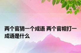 两个官猜一个成语 两个官帽打一成语是什么