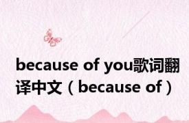 because of you歌词翻译中文（because of）