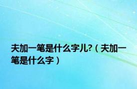 夫加一笔是什么字儿?（夫加一笔是什么字）