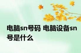 电脑sn号码 电脑设备sn号是什么