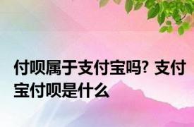 付呗属于支付宝吗? 支付宝付呗是什么