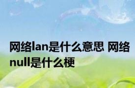 网络lan是什么意思 网络null是什么梗