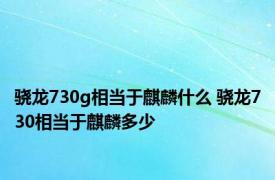 骁龙730g相当于麒麟什么 骁龙730相当于麒麟多少