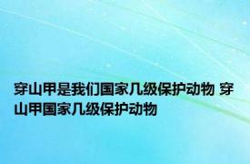 穿山甲是我们国家几级保护动物 穿山甲国家几级保护动物