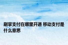 刷掌支付在哪里开通 移动支付是什么意思