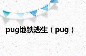 pug地铁逃生（pug）