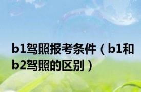 b1驾照报考条件（b1和b2驾照的区别）