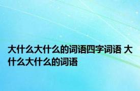 大什么大什么的词语四字词语 大什么大什么的词语