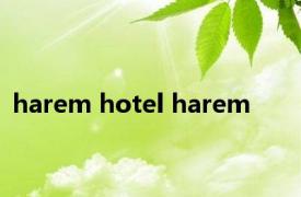 harem hotel harem 