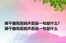 操千曲而后晓声后面一句是什么? 操千曲而后晓声后面一句是什么