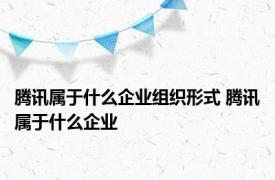 腾讯属于什么企业组织形式 腾讯属于什么企业