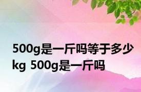 500g是一斤吗等于多少kg 500g是一斤吗