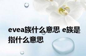 evea族什么意思 e族是指什么意思