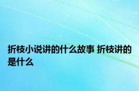 折枝小说讲的什么故事 折枝讲的是什么