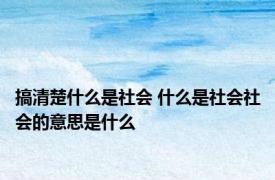 搞清楚什么是社会 什么是社会社会的意思是什么