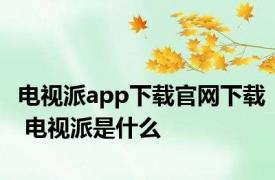 电视派app下载官网下载 电视派是什么