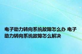 电子助力转向系统故障怎么办 电子助力转向系统故障怎么解决