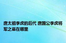 唐太祖李虎的后代 唐国公李虎将军之墓在哪里