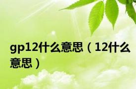 gp12什么意思（12什么意思）