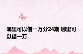 哪里可以借一万分24期 哪里可以借一万