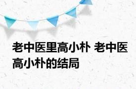 老中医里高小朴 老中医高小朴的结局