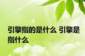 引擎指的是什么 引擎是指什么