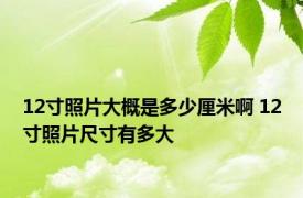 12寸照片大概是多少厘米啊 12寸照片尺寸有多大