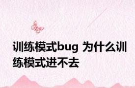 训练模式bug 为什么训练模式进不去