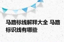 马路标线解释大全 马路标识线有哪些