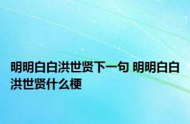 明明白白洪世贤下一句 明明白白洪世贤什么梗