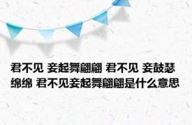 君不见 妾起舞翩翩 君不见 妾鼓瑟绵绵 君不见妾起舞翩翩是什么意思