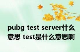 pubg test server什么意思 test是什么意思啊