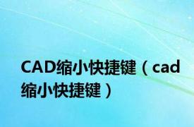 CAD缩小快捷键（cad缩小快捷键）