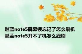 魅蓝note5屏幕锁忘记了怎么刷机 魅蓝note5开不了机怎么线刷